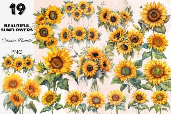 Download Sunflower Summer Sun Flower Sunflowers - Sunflowers Collection