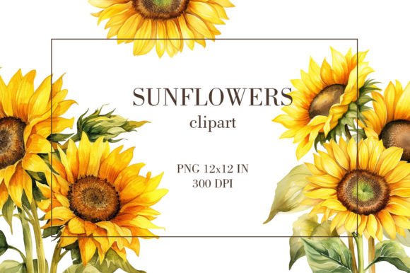Download Watercolor Sunflowers Clipart PNG - Sunflowers Collection